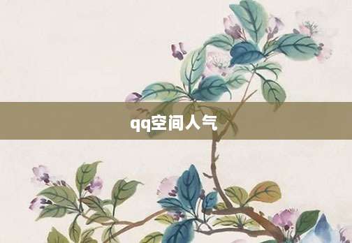 qq空间人气 