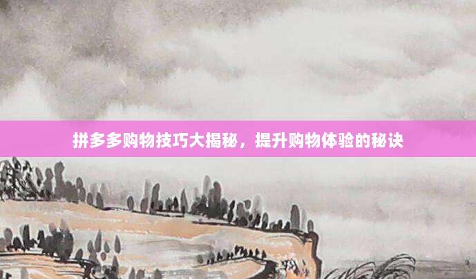 拼多多购物技巧大揭秘，提升购物体验的秘诀