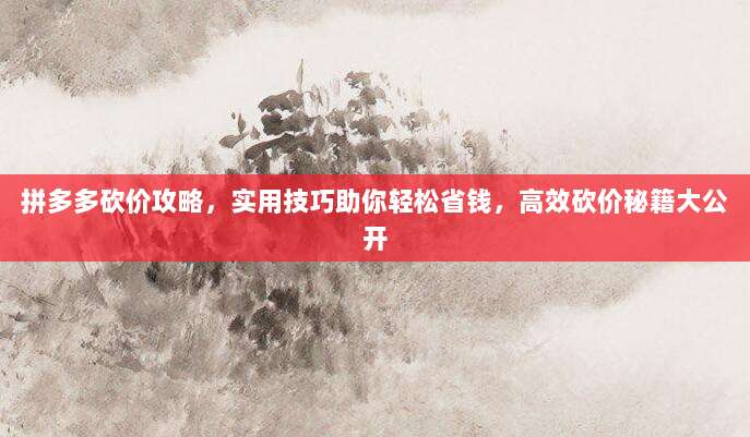 拼多多砍价攻略，实用技巧助你轻松省钱，高效砍价秘籍大公开
