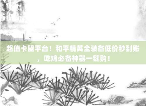 超值卡盟平台！和平精英全装备低价秒到账，吃鸡必备神器一键购！