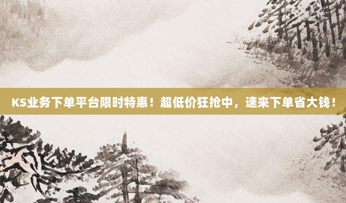 KS业务下单平台限时特惠！超低价狂抢中，速来下单省大钱！