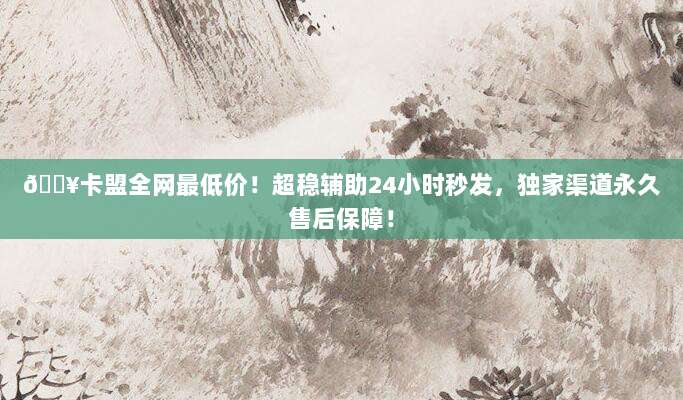 🔥卡盟全网最低价！超稳辅助24小时秒发，独家渠道永久售后保障！