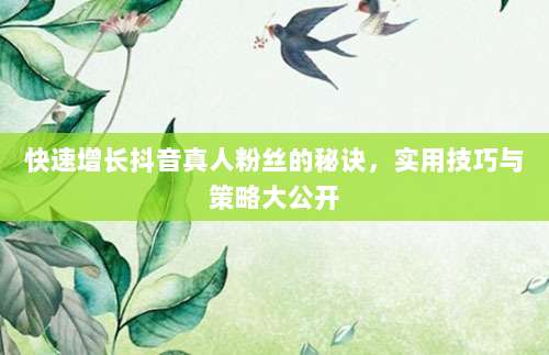 快速增长抖音真人粉丝的秘诀，实用技巧与策略大公开