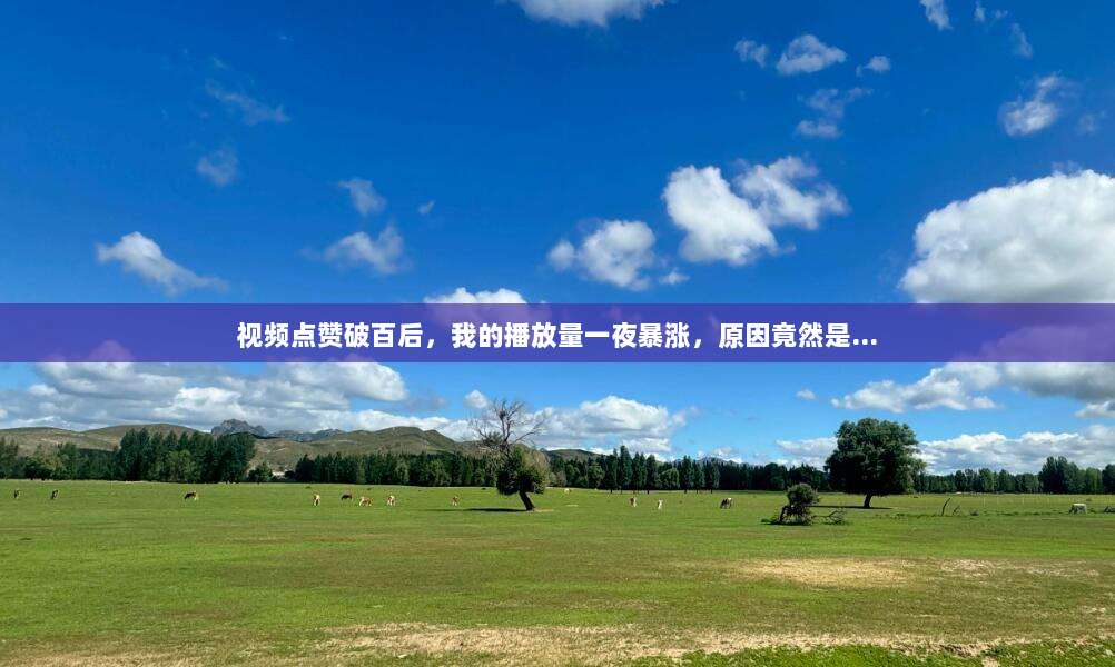 视频点赞破百后,我的播放量一夜暴涨,原因竟然是…