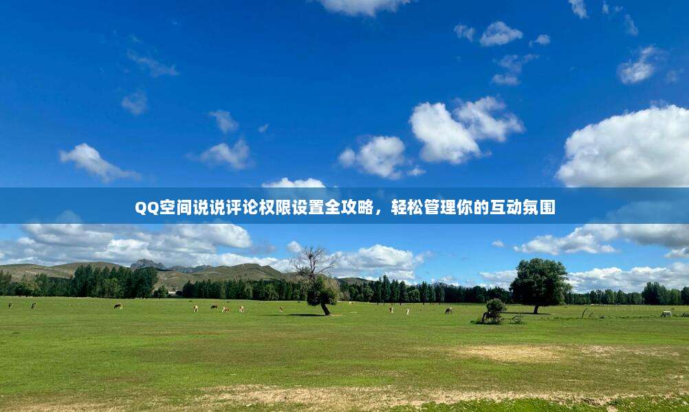 QQ空间说说评论权限设置全攻略,轻松管理你的互动氛围