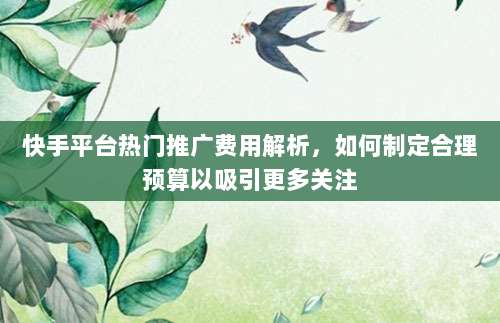 快手平台热门推广费用解析，如何制定合理预算以吸引更多关注