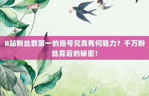 B站粉丝数第一的账号究竟有何魅力？千万粉丝背后的秘密！