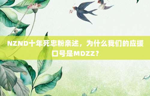 NZND十年死忠粉亲述，为什么我们的应援口号是MDZZ？