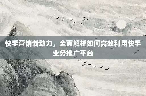 快手营销新动力,全面解析如何高效利用快手业务推广平台