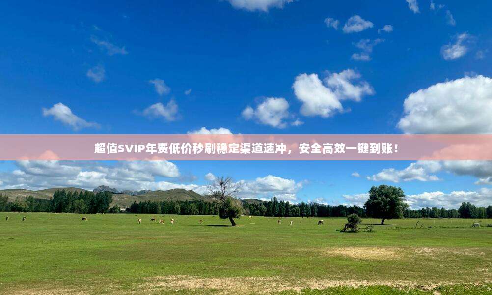 超值SVIP年费低价秒刷稳定渠道速冲，安全高效一键到账！