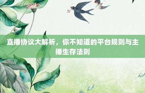 直播协议大解析，你不知道的平台规则与主播生存法则