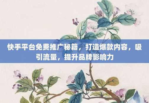 快手平台免费推广秘籍,打造爆款内容,吸引流量,提升品牌影响力