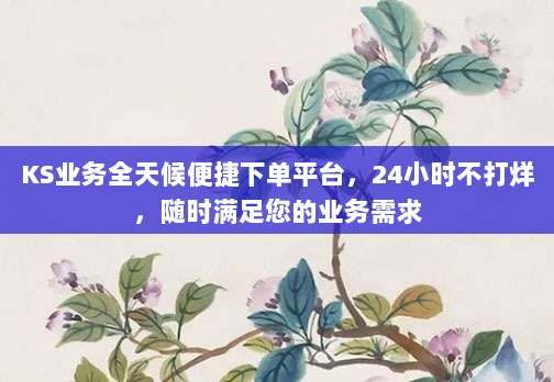 KS业务全天候便捷下单平台,24小时不打烊,随时满足您的业务需求