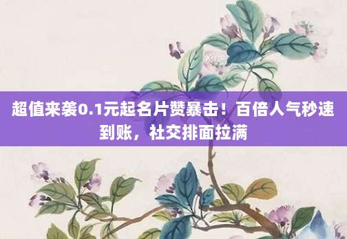 超值来袭0.1元起名片赞暴击!百倍人气秒速到账,社交排面拉满