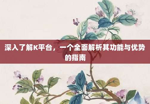 深入了解K平台,一个全面解析其功能与优势的指南