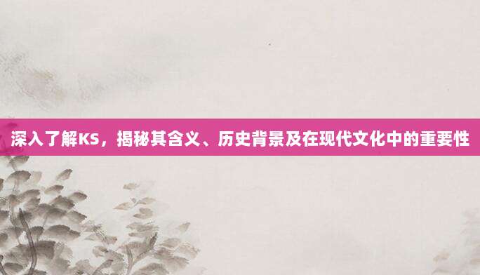 深入了解KS,揭秘其含义、历史背景及在现代文化中的重要性