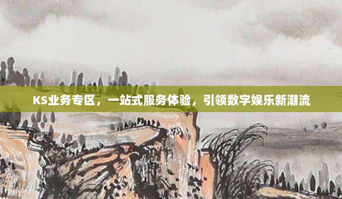 KS业务专区,一站式服务体验,引领数字娱乐新潮流