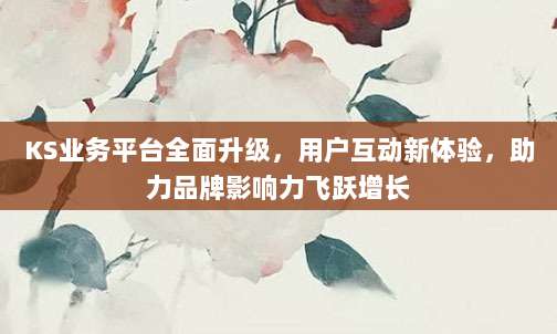 KS业务平台全面升级,用户互动新体验,助力品牌影响力飞跃增长