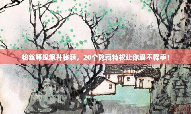 粉丝等级飙升秘籍,20个隐藏特权让你爱不释手!