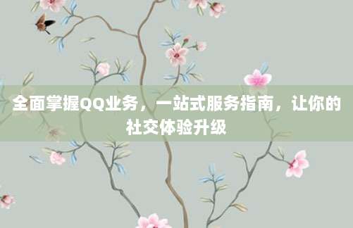 全面掌握QQ业务，一站式服务指南，让你的社交体验升级