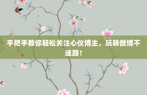 手把手教你轻松关注心仪博主，玩转微博不迷路！