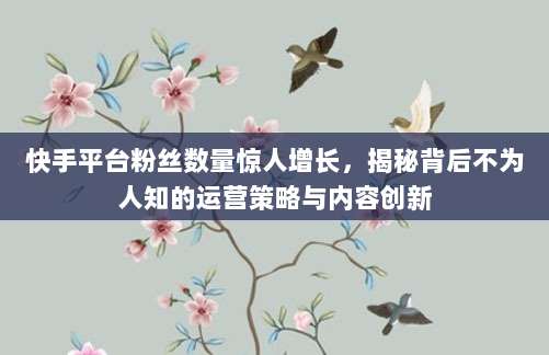 快手平台粉丝数量惊人增长，揭秘背后不为人知的运营策略与内容创新